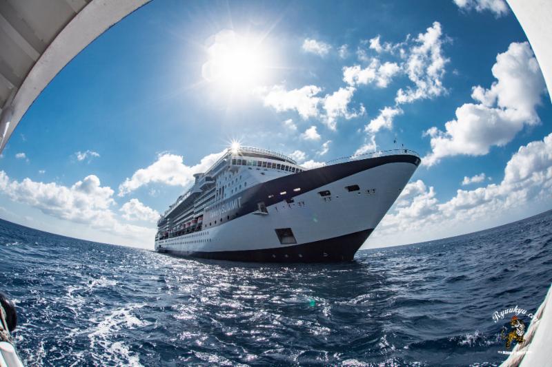 Love and Harmony Cruise Listed As Best Holiday Gift In Premiere Entertainment Magazine 1 "The holiday means many things to us, but there are a few constants: food, family and lots of presents. And that's why we're taking the hassle out of holiday gift giving and bringing you our 2018 Holiday Gift Guide" - Bossip