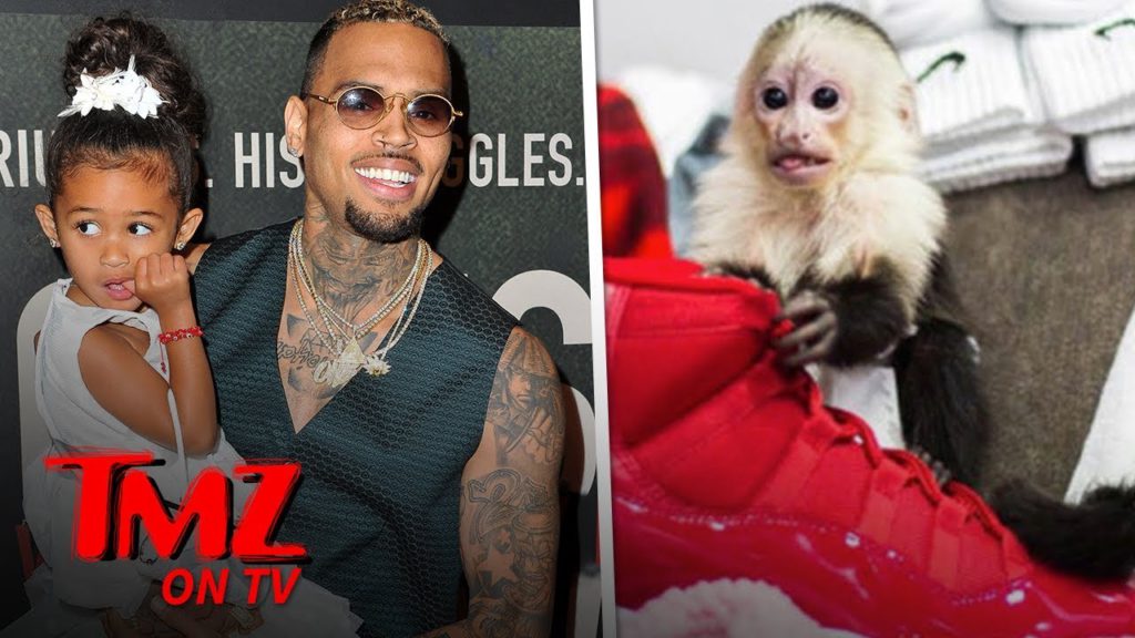 The Law Isn't Happy About Chris Brown's Monkey Business | TMZ TV 1
