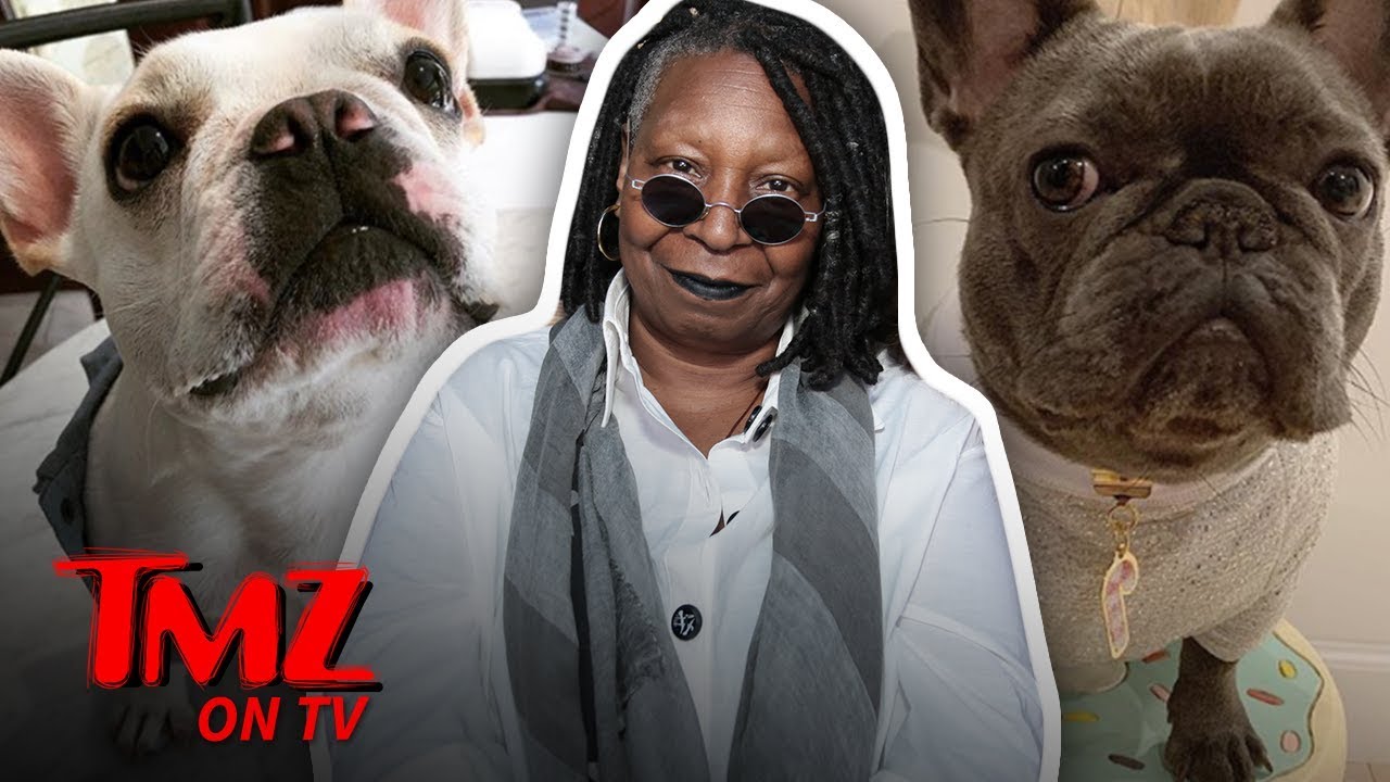 Whoopi Goldberg's Family Dog Is Getting Married! | TMZ TV 3