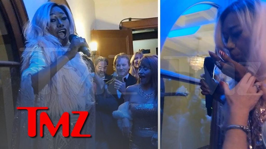 The Pointer Sisters' Bonnie Throws Up Onstage, Keeps Performing 'I'm So Excited' | TMZ 1