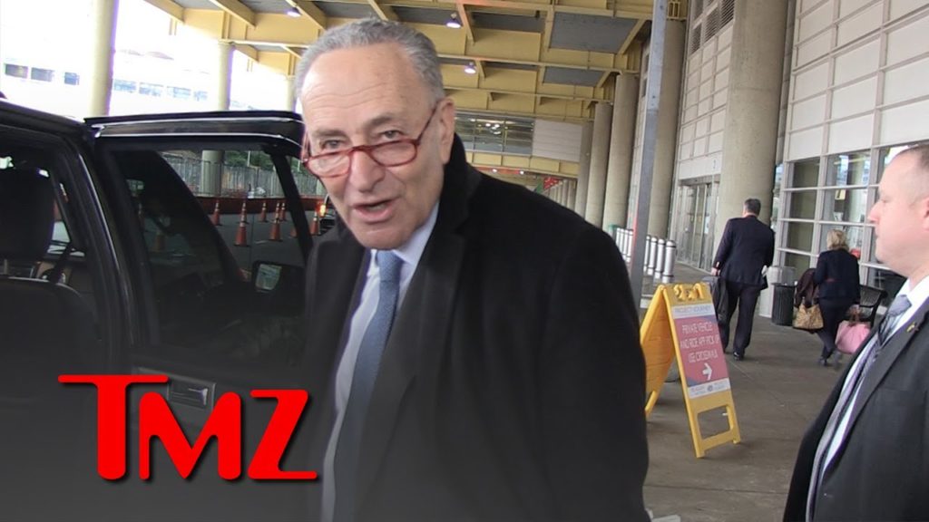 Sen. Chuck Schumer Says Dealing with Prez Trump is Like Dealing with Jell-O | TMZ 1