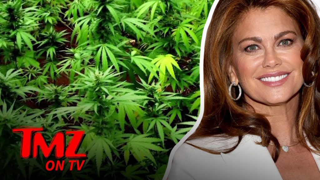 Supermodel Wants To Bring CBD To The NFL | TMZ TV 1
