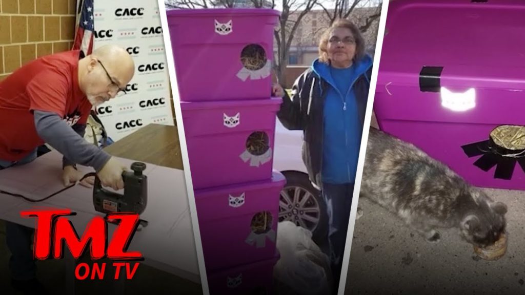 Polar Vortex Sparks Stray Cat Mission In Chicago | TMZ TV 1