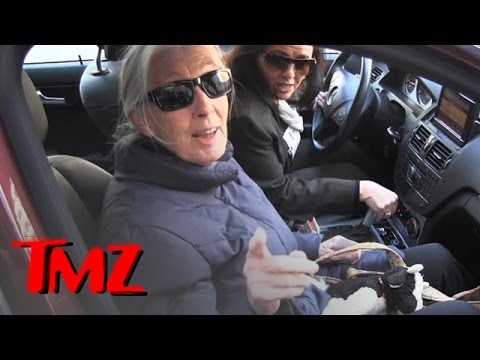 Chimp Expert Jane Goodall -- Bubbles Was Beaten On Michael Jackson's Watch | TMZ