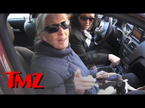 Chimp Expert Jane Goodall -- Bubbles Was Beaten On Michael Jackson's Watch | TMZ 1