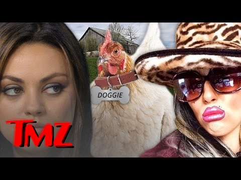 Today In Weird: Mila Kunis Sued -- You Stole My Chicken, So Cluck You!!! | TMZ 4