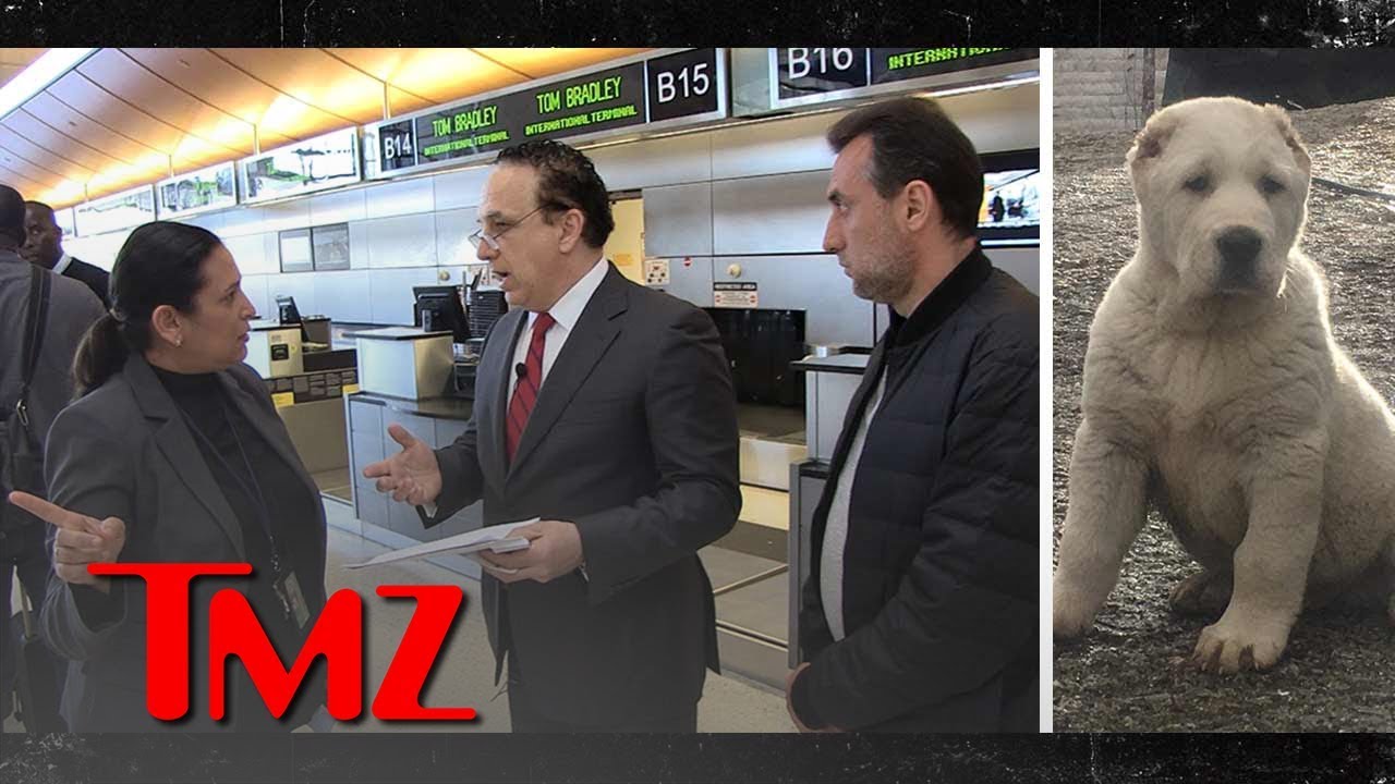 Family of Dead Dog Confronts Air France-KLM Official But Gets Stonewalled | TMZ 2