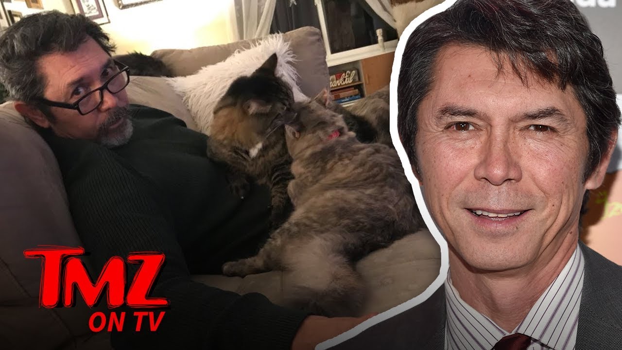 Lou Diamond Phillips Is The Cat Man! | TMZ TV 2