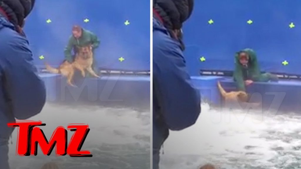 A DOG'S PURPOSE' TERRIFIED GERMAN SHEPHERD FORCED INTO TURBULENT WATER | TMZ 1