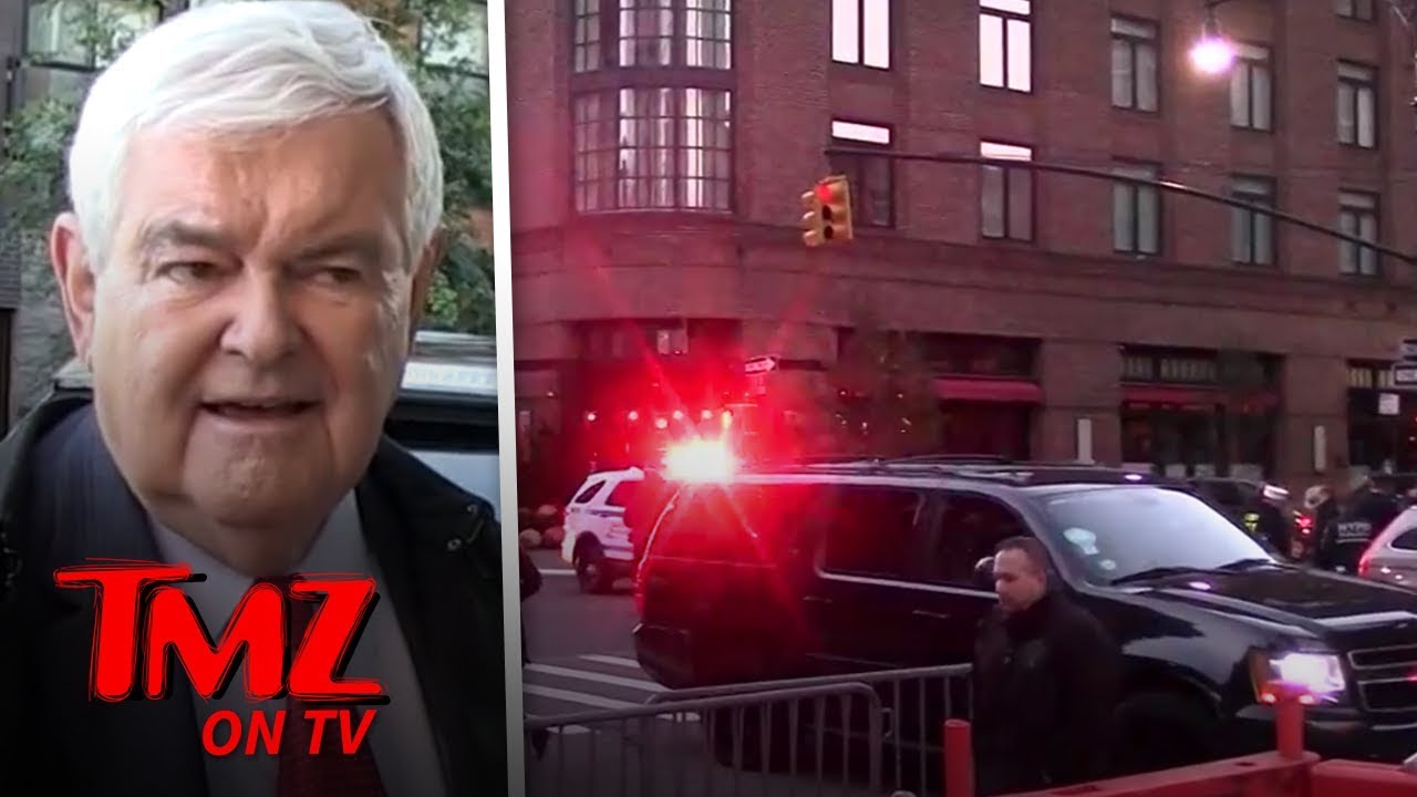Newt Ginrich Says Trump Haters Deserve Bombs | TMZ TV