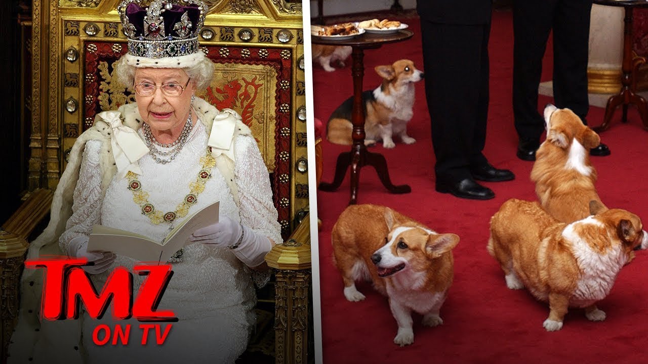 Queen Elizabeth's Dog Passes Away | TMZ TV
