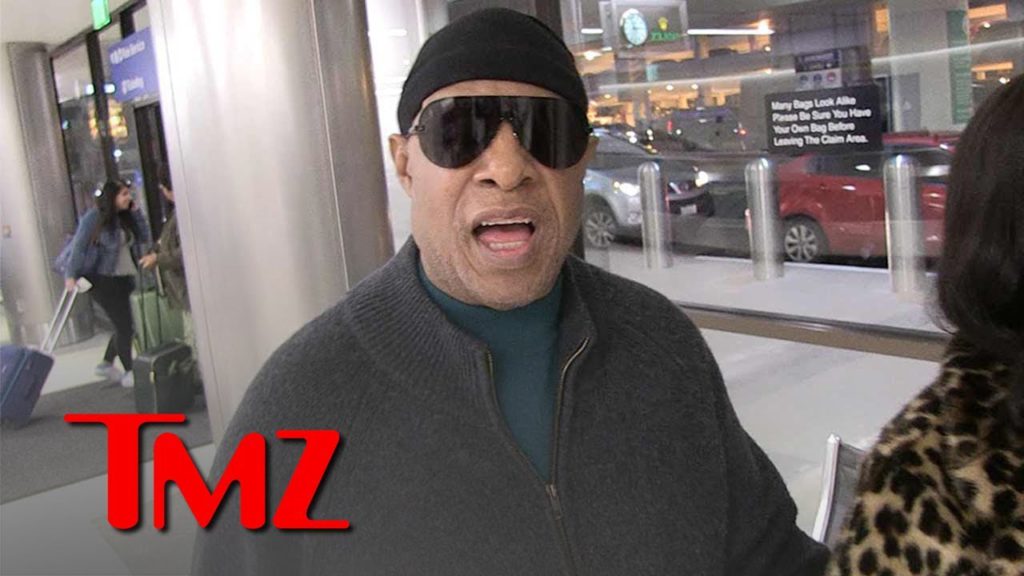 Stevie Wonder Says Michael Jackson Inspired People of All Ages | TMZ 1