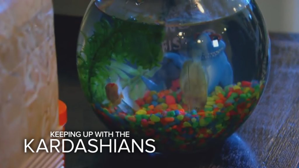 KUWTK | R.I.P. Goldfish | E! 1