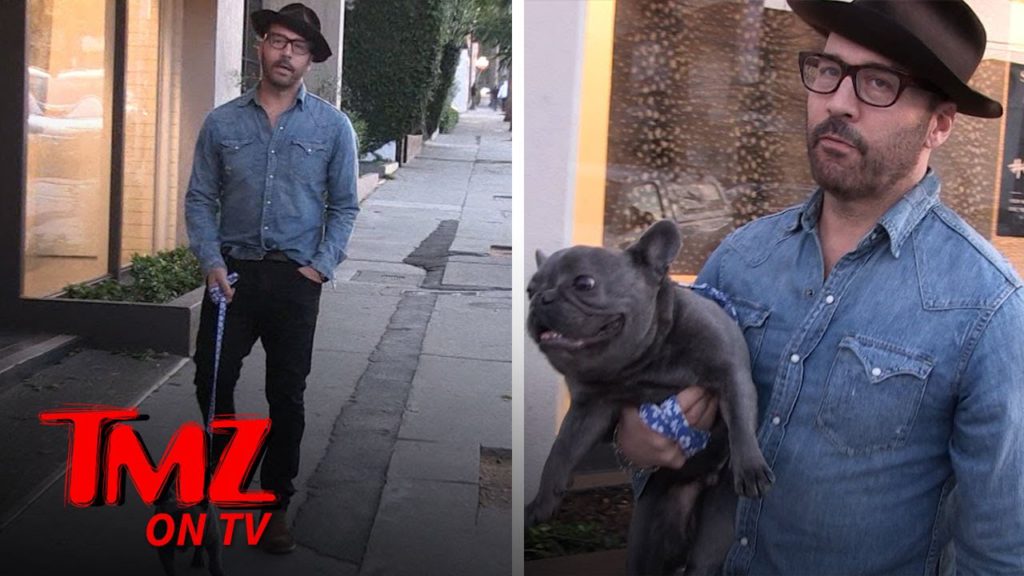 Jeremy Piven Forgets His Dog In The Car While He Goes To A Restaurant | TMZ TV 1