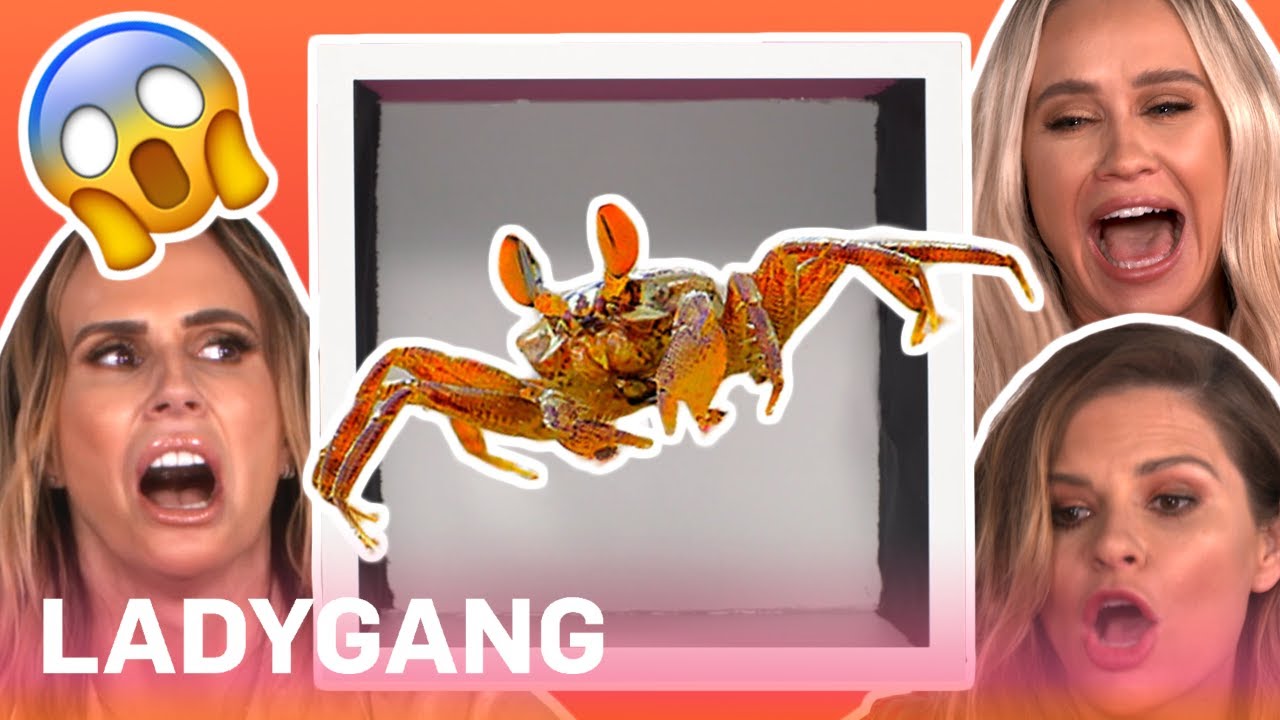 Becca Tobin, Keltie Knight & Jac Vanek: What's in the Box?! | LadyGang| E! 1 Becca Tobin, Keltie Knight & Jac Vanek: What's in the Box?! | LadyGang| E! 1