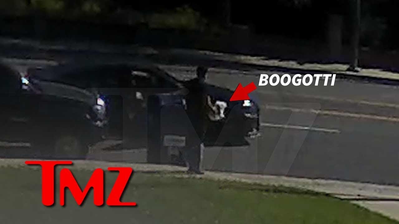 Ray J & Princess Love's Missing Dog Returned, Theft Suspected | TMZ 1 Ray J & Princess Love's Missing Dog Returned, Theft Suspected | TMZ 1