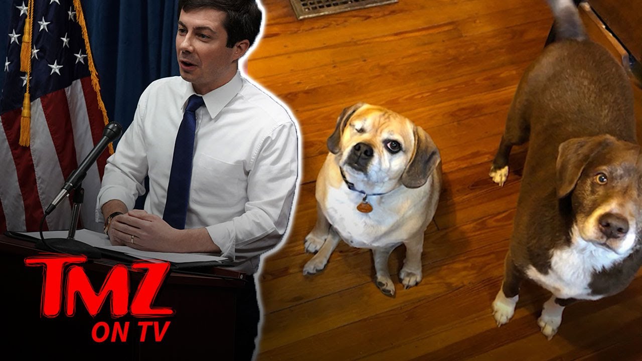 Mayor Pete Talks Rescue Dogs In Famous L.A. Gay Club | TMZ TV 1
