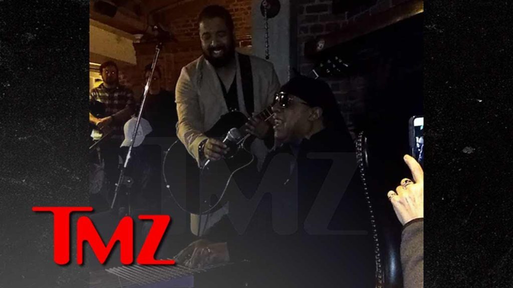 Stevie Wonder Plays Impromptu Acoustic Set During Dinner in L.A. | TMZ 1